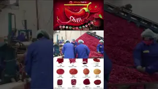 Premium Chilli Pepper Powder Rich In Vitamin C And Antioxidants With 60-80 Mesh And 80-220 ASTA For Culinary Use
