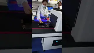 AC85V UV Curing Conveyor Systems For Printing Press OEM ODM