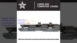 F feito sob encomenda flangeou correntes transportadoras resistentes do rolo