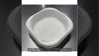 PP Large20 *20 cm Disposable Food Packaging Square Single Compartment Takeout Box, Low MOQ
