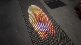 China Bright P5 5V LED Transparent Film Screen For Glass Windows Innovative Display supplier