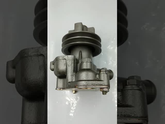 B8800-1307100D Water Pump for WZ30-25 Backhoe Loader