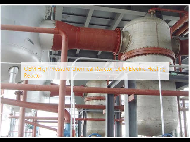 OEM High Pressure Chemical Reactor ODM Electric Heating Reactor