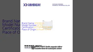 High Coercive Force Sintered Ferrite Magnet For Motorcycle Motors  W021C