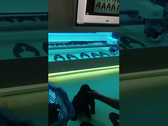 Dual Head Digital Leather Printing Machine with 1200 x 900mm Working Area and Computer Control for Shoe Marking