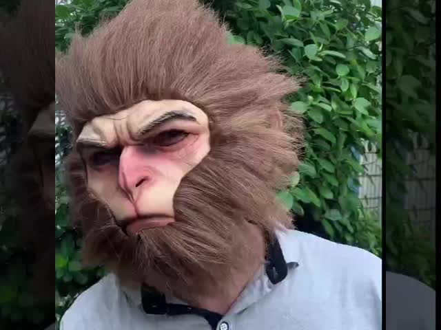 Latex Material Fantasy Mask for Theatrical Performances with One Size Fits Most and Includes Mask and Hat