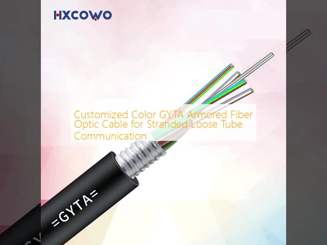 Customized Color GYTA Armored Fiber Optic Cable for Stranded Loose Tube Communication