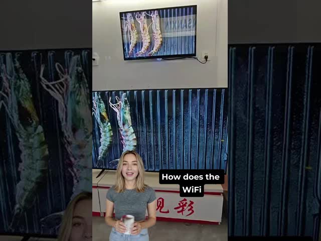 32 43 50 55 Inch LED Google Android Samrt TV 2K Television