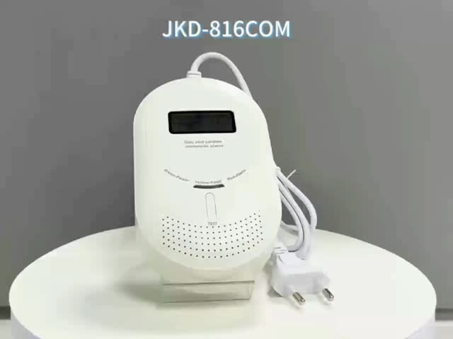 SGS Certified CO and Gas Detector Custom Home Combustible Gas Detector With 5 Year Lifetime