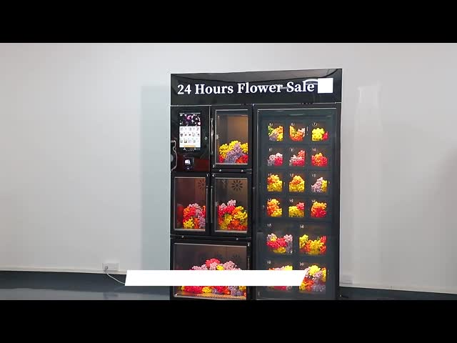 Haloo Vending Machine Supplie R20 Locker Touch Screen Flower Vending Machine