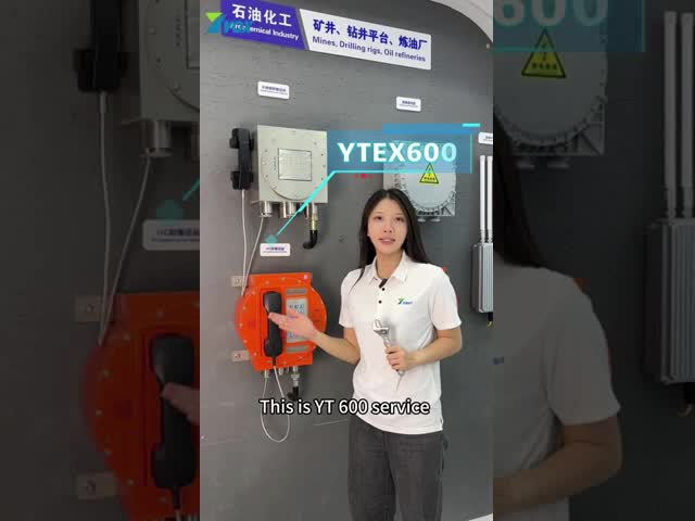 Anti Corrosion Heavy Duty Vandal Resistant Telephone Stainless Steel For Industry