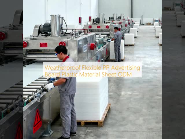 Weatherproof Flexible PP Advertising Board Plastic Material Sheet ODM