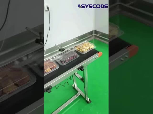 Syscode H200  High-Performance Thermal Inkjet Coder - Compatible with water/solvent/UV inks, supports variable data printing, 200m/min high-speed printing