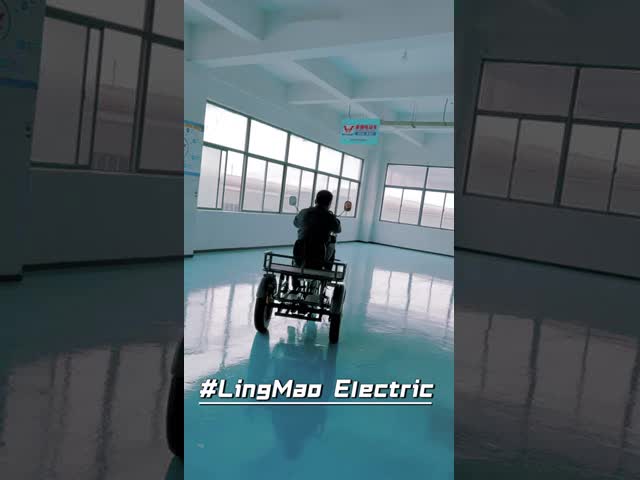 Lightweight Electric Trike Multifunctional Military Green Disc Brake System + LED Headlight