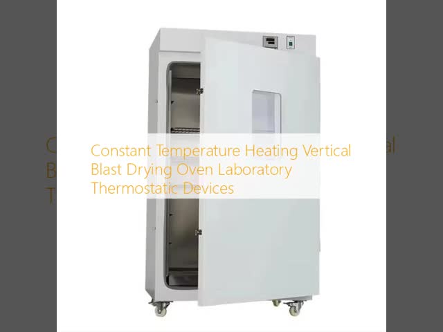 Constant Temperature Heating Vertical Blast Drying Oven Laboratory Thermostatic Devices