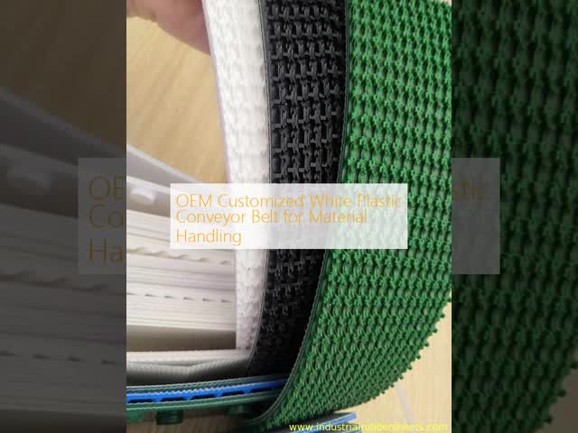 OEM Customized White Plastic Conveyor Belt for Material Handling