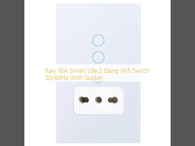 Italy 16A Smart Life 2 Gang Wifi Switch 50/60Hz With Socket
