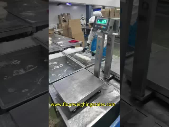 30x40cm 304 Stainless Steel Waterproof Bench Scale   100kg