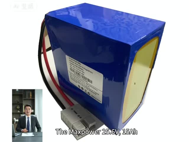 25.6V 15Ah 384Wh rechargeable Lithium LiFePO4 Battery pack for UPS