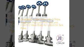 Cryogenic Globe Valve with 5.0Mpa Maximum Pressure PTFE Seal and CF8/CF3 Valve Body for LNG/LOX Tank Pipes