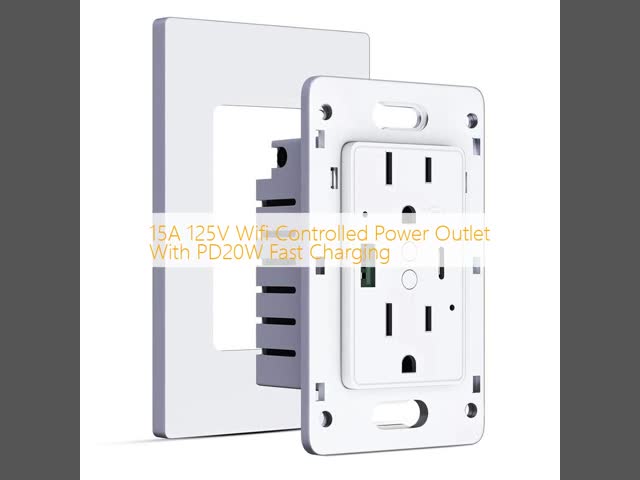 15A 125V Wifi Controlled Power Outlet With PD20W Fast Charging
