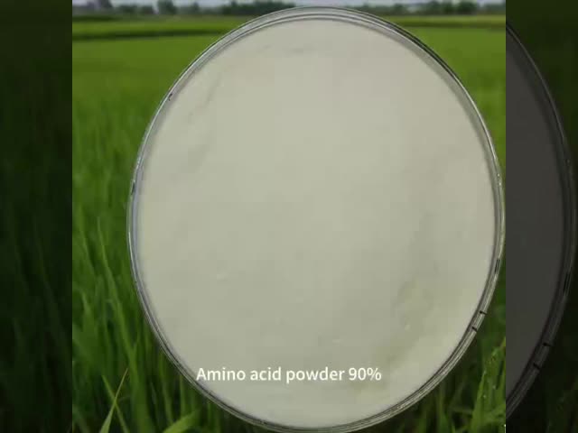 Powder Amino Acid 80% , Amino Acid Agriculture Fertilizer Stimulate Root Growth