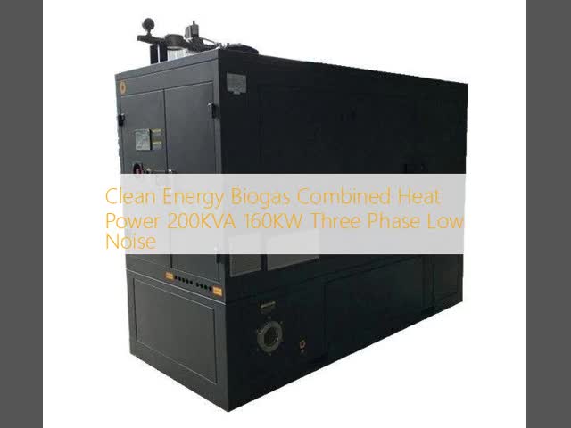 Clean Energy Biogas Combined Heat Power 200KVA 160KW Three Phase Low Noise