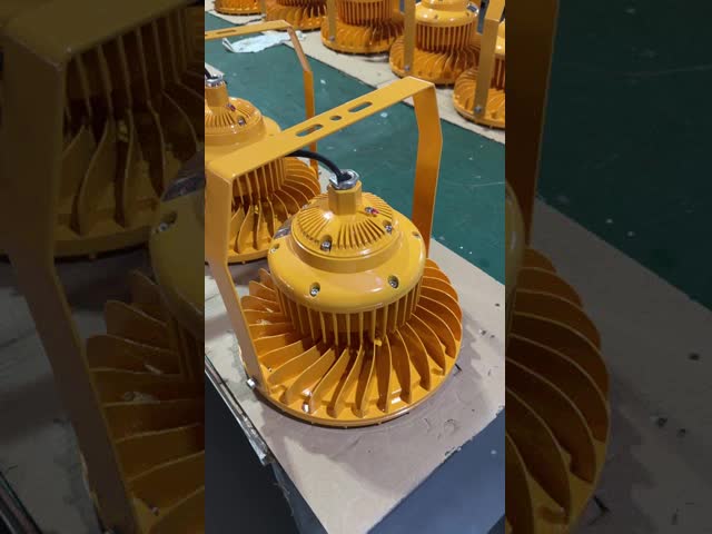 SMD2835/3030 LED Chips IP65 Waterproof 50W-300W Explosion Proof LED Lighting for Hazardous Locations