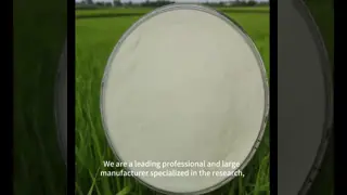 Amino Acid 75% for Water Soluble Fertilizer