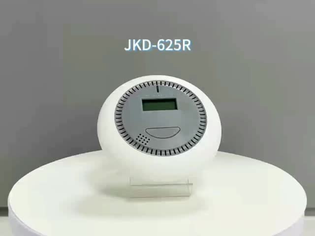 Indoor Professional Carbon Monoxide Detector Customized 10 Year Carbon Monoxide Detectors