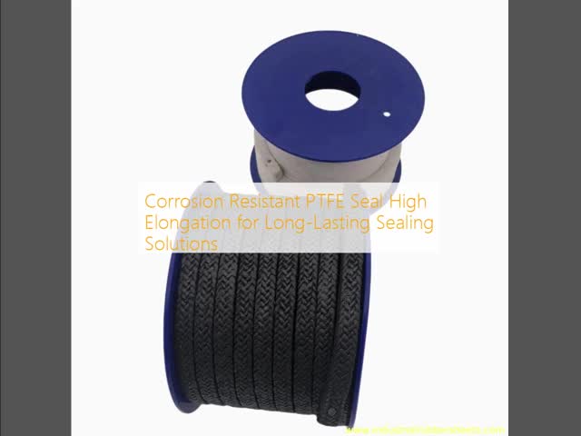 Corrosion Resistant PTFE Seal High Elongation for Long-Lasting Sealing Solutions