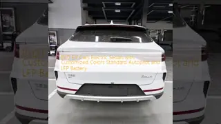 BYD EV Cars Electric Sedan with Customized Colors Standard Autopilot and LFP Battery