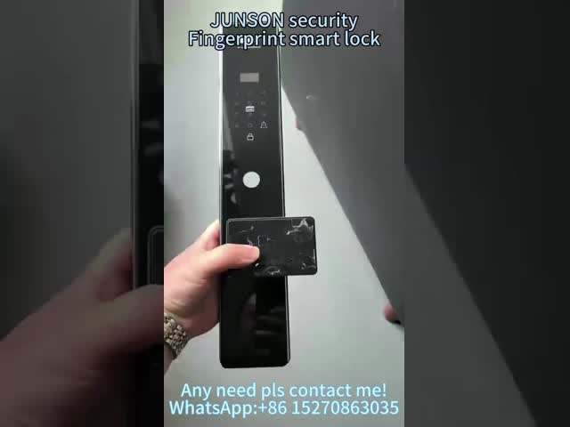 Touch Screen Tuya Wifi Smart Lock Fingerprint Door Locks Zinc Alloy Material For Home