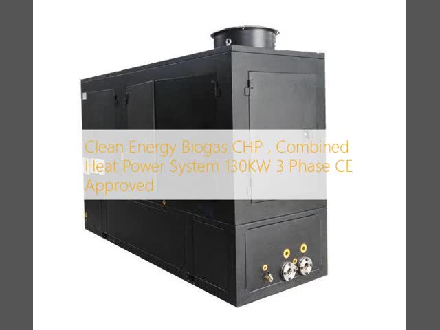 Clean Energy Biogas CHP , Combined Heat Power System 130KW 3 Phase CE Approved