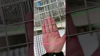 Galvanized Corrosion Resistant Welded Mesh Panel 1200x2400mm for Fencing and Construction