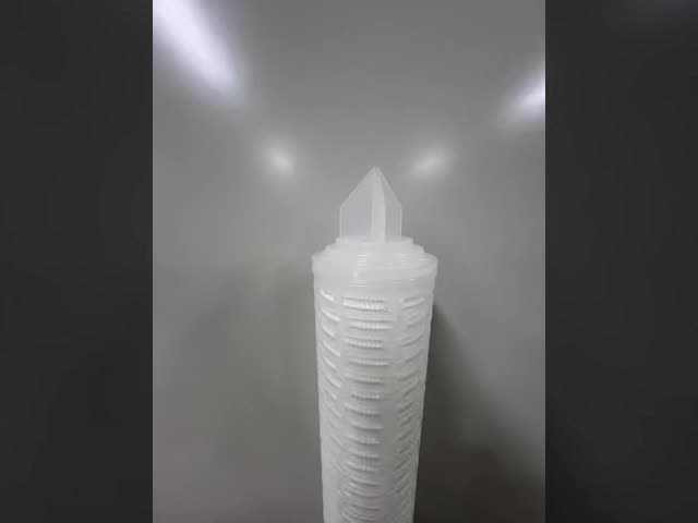 PTFE Membrane Filter Cartridge with Hydrophobic and Hydrophilic PTFE Membrane for Corrosion Resistant Filtration