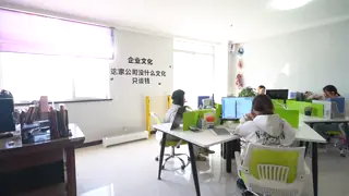 3mm/4mm/5mm 3D bending fence Welded Wire Mesh 50*200mm/55*200mm