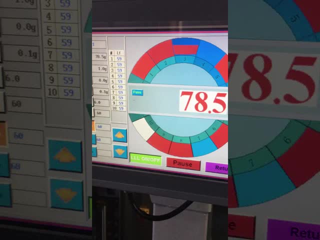 Granular Powder and Fragile Products Vertical Packing Machine BMPV200  With Accuracy In Weight.