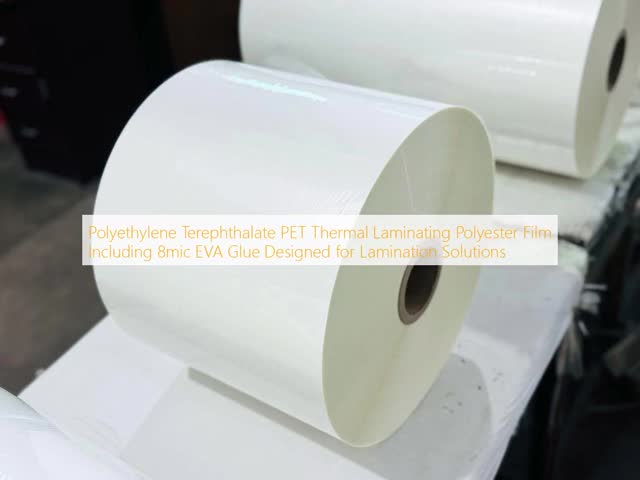 PET Thermal Lamination Film with 8mic EVA Glue for Waterproof and Scratch Resistant Photography Lamination