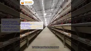 “A” Type Layer Chicken Cage Equipment