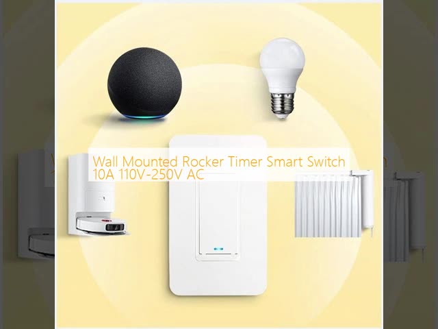 Wall Mounted Rocker Timer Smart Switch 10A 110V-250V AC