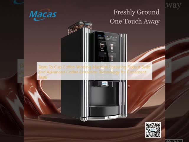 Bean To Cup Coffee Vending Machine with Touch Screen and Adjustable Brew Pressure Suitable for Commercial and Office