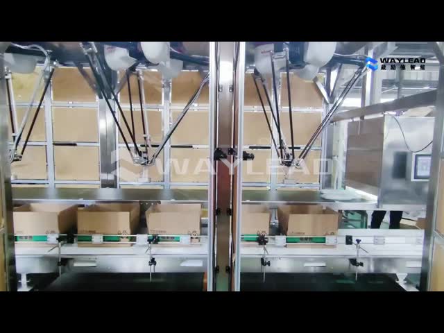 Automatic Spider Hand Robot Carton Case Packer Packing Machine