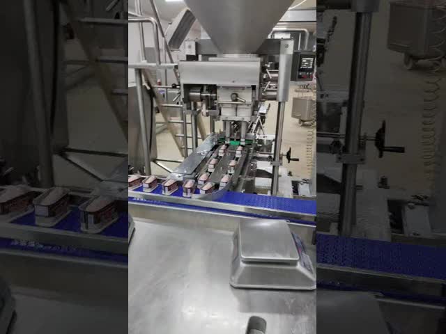 Corned meat/Minced meat/Luncheon meat filling machine