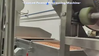 China Dry Peanut Red Skin Peeling Machine SUS304 Blanched Peanut Line supplier