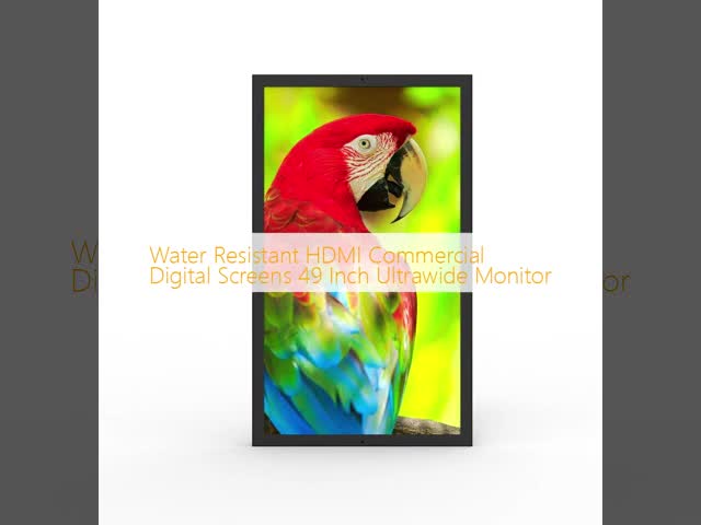 Water Resistant HDMI Commercial Digital Screens 49 Inch Ultrawide Monitor