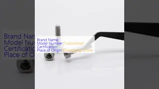 Stainless Steel Ultra-Micro Precision Pan Head Screws M0.5-M3 Nickel Plated for Industrial Applications