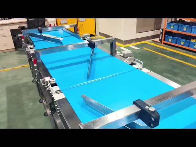 Automatic Food Flow Wrapping Machine and Sorting Line