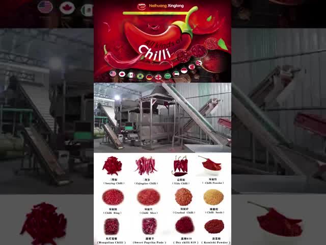 Crushed Flakes Mild Chili Powder Sweet Paprika Powder 1000 Grams with Negative Salmonella 80-220 ASTA and 24 Months Shelf Life