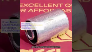 2916010-2001/E pour les animaux de compagnie video